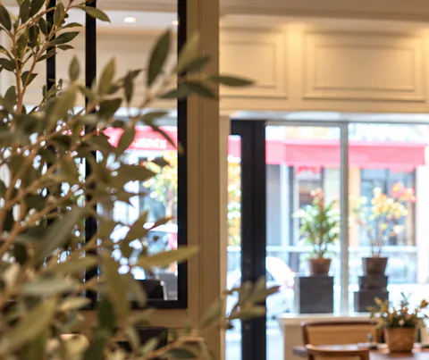 Branches d'olivier devant une grande fenêtre de bureau