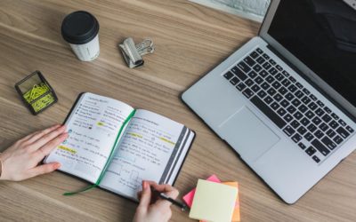 4 conseils pour améliorer votre production de trafic biologique