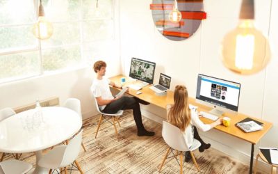 Intranets et Extranets d&rsquo;une agence de référencement SEO à Lyon 1