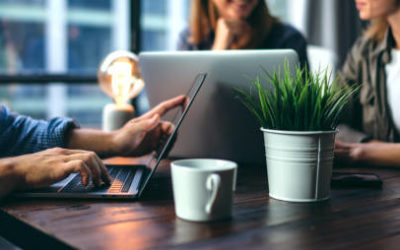 Reportage entreprise 8 Gentleview Comment une agence de référencement Google à Lyon s’adapte-t-elle aux changements d’algorithme de Google ?