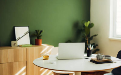 Reportage entreprise 12 Gentleview Quel est le rôle d’une agence de référencement Google à Lyon dans la gestion de ma e-réputation ?