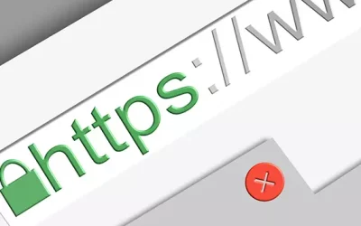 Reportage entreprise 2 Gentleview Agence digitale Lyon : Comment mettre en place un site multilingue avec WordPress ?