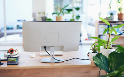 Reportage entreprise 19 Gentleview Quels sont les avantages d’un site web responsive pour une agence immobilière à Lyon ?