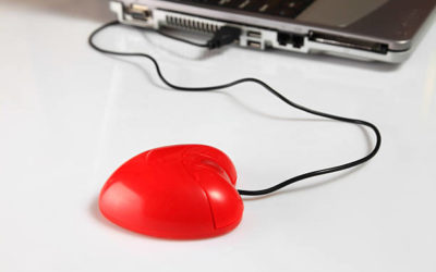 Reportage entreprise 1 Gentleview Pourquoi la cohérence de la marque est-elle importante lors de la création de votre site internet?