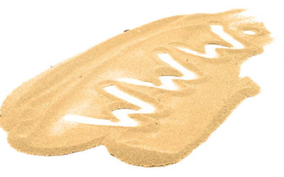 Reportage entreprise 3 Gentleview Pourquoi devriez-vous envisager d’inclure une section d’actualités ou de blog sur votre site internet?