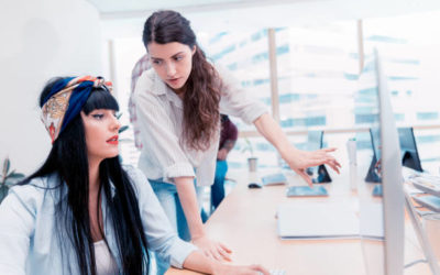 Reportage entreprise 9 Gentleview Quelles Stratégies de SEO International Adopter ?