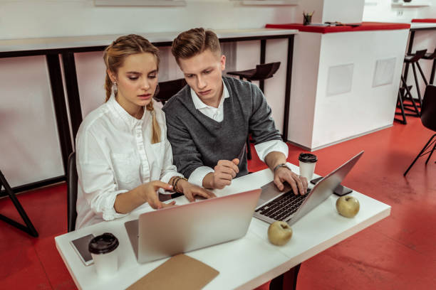 agence gentleview. communication digitale lyon