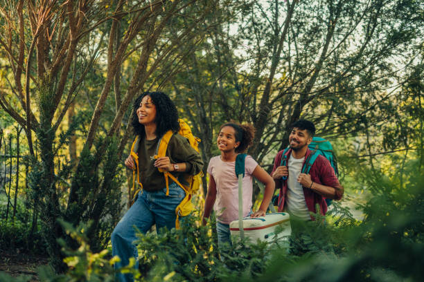 agence digitale Camping à Lyon