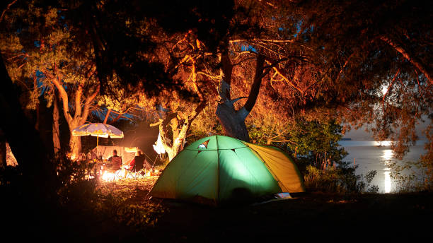 Camping camp in a pine forest by the river, early summer agence SEO Camping à Lyon