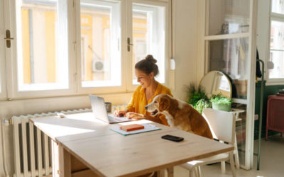 Comment l’Agence Web Chénas peut-elle améliorer votre gestion de réseaux sociaux ?