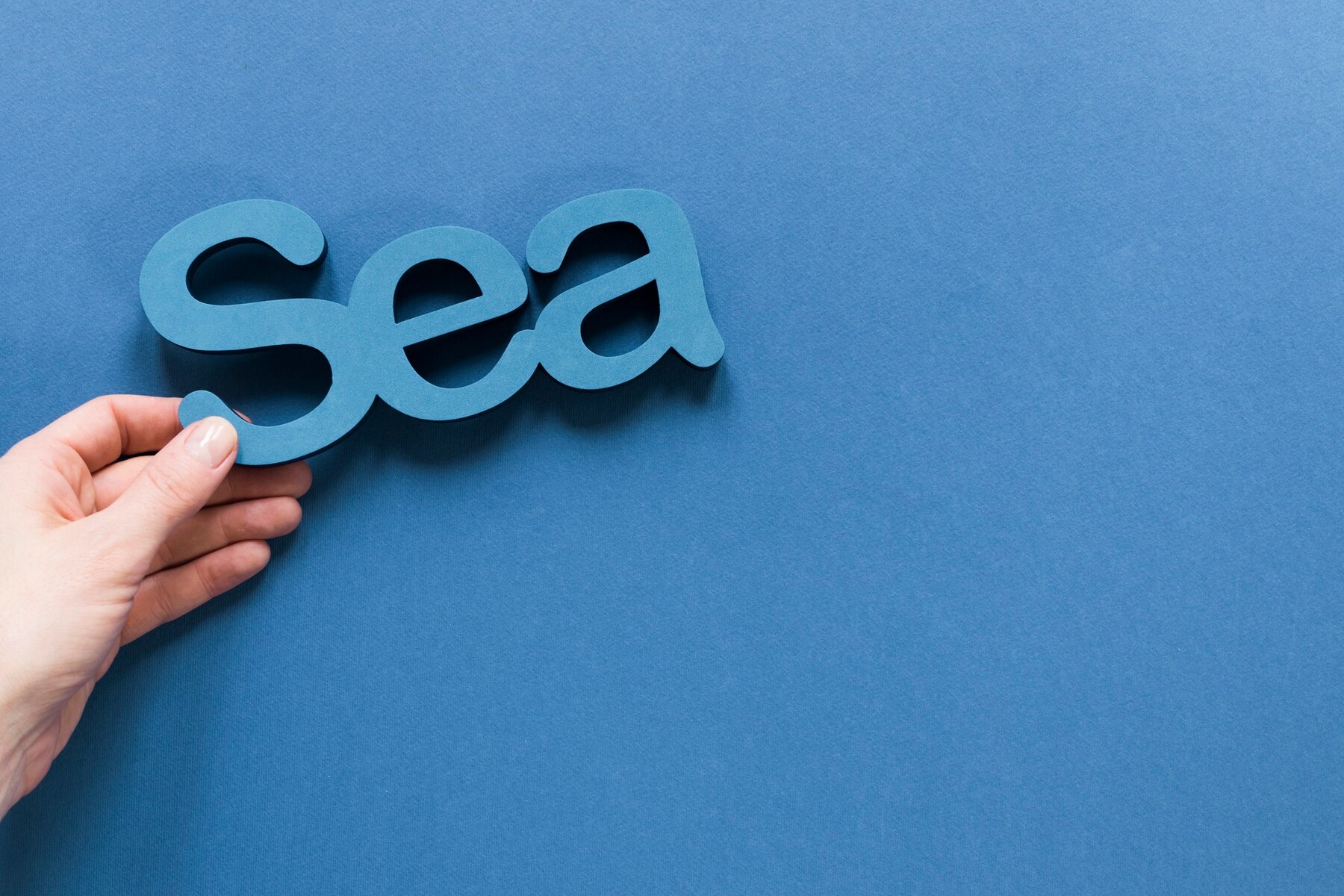 Campagne SEA
