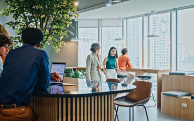 Pourquoi une création site WordPress Lyon puissante améliore 3 fois la visibilité ?